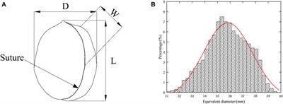 FDEM investigation on the crack propagation characteristics of walnut shell under multi-contact loadings